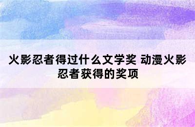 火影忍者得过什么文学奖 动漫火影忍者获得的奖项